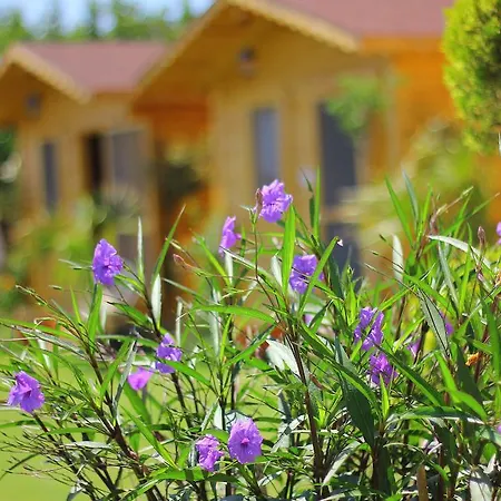 Anemo Hotel Pensión *