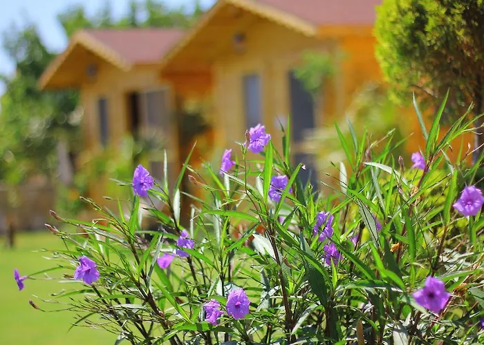 Anemo Hotel Pensionat *