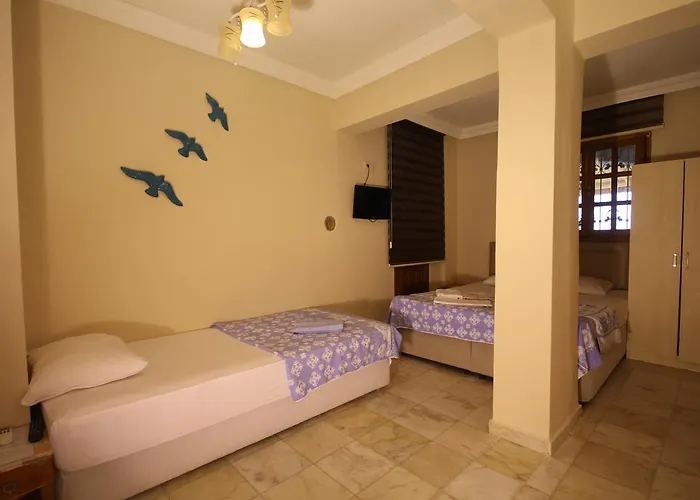 Anemo Hotel Pensionat